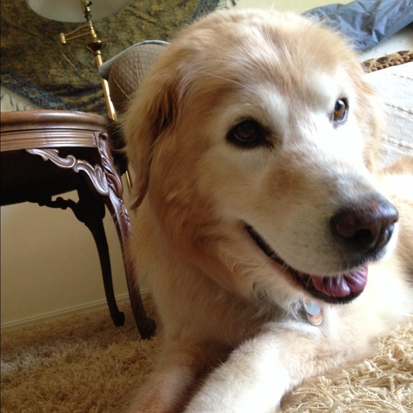 Meet your Posher, Allee - Picture 2 of 2